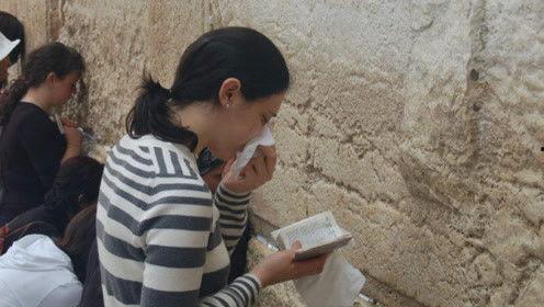 娱乐吃瓜君白鹿怎么了